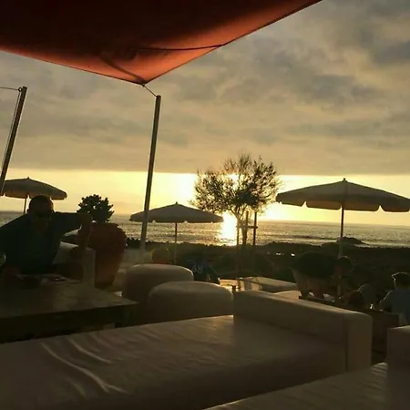 C101 Balandros *