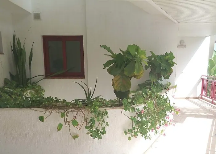 C101 Balandros Palm-mar