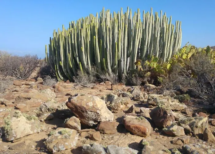 Appartement C101 Balandros