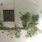 C101 Balandros Palm-mar