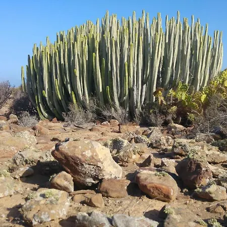 Apartmán C101 Balandros