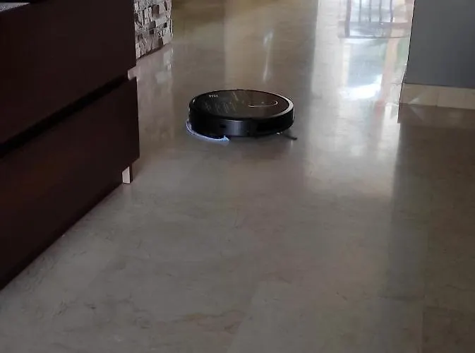 C101 Balandros Palm-mar