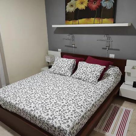 C101 Balandros Palm-mar