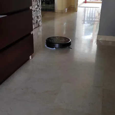 C101 Balandros Palm-mar